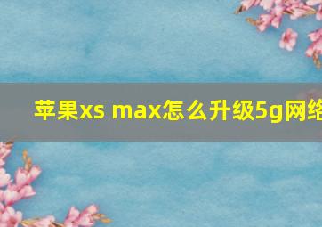 苹果xs max怎么升级5g网络